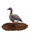 Гусь гуменник Softplast 3D (GS-3D), 10 штук